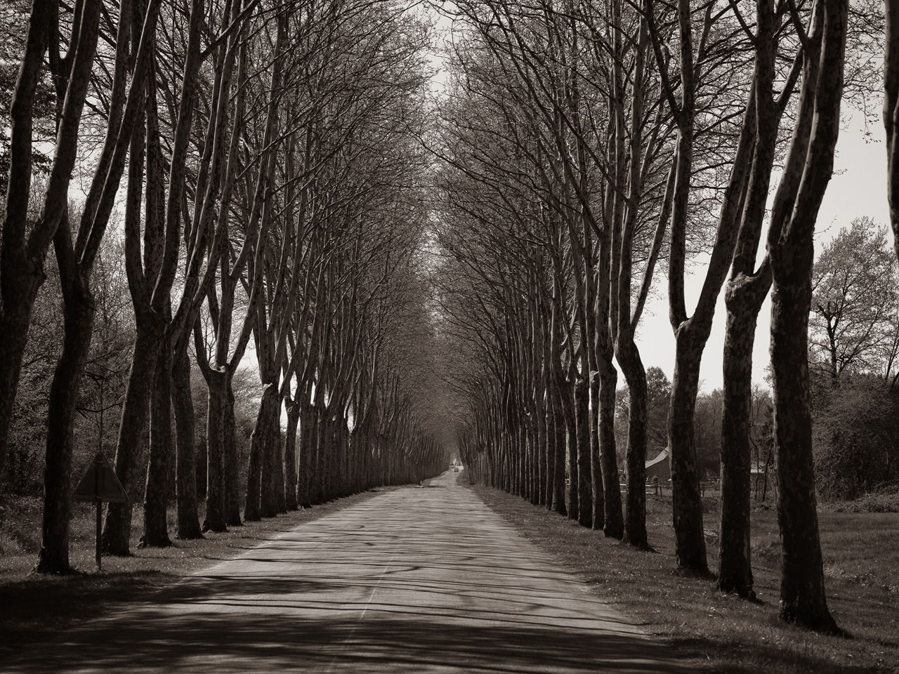 L'allée de la Balme