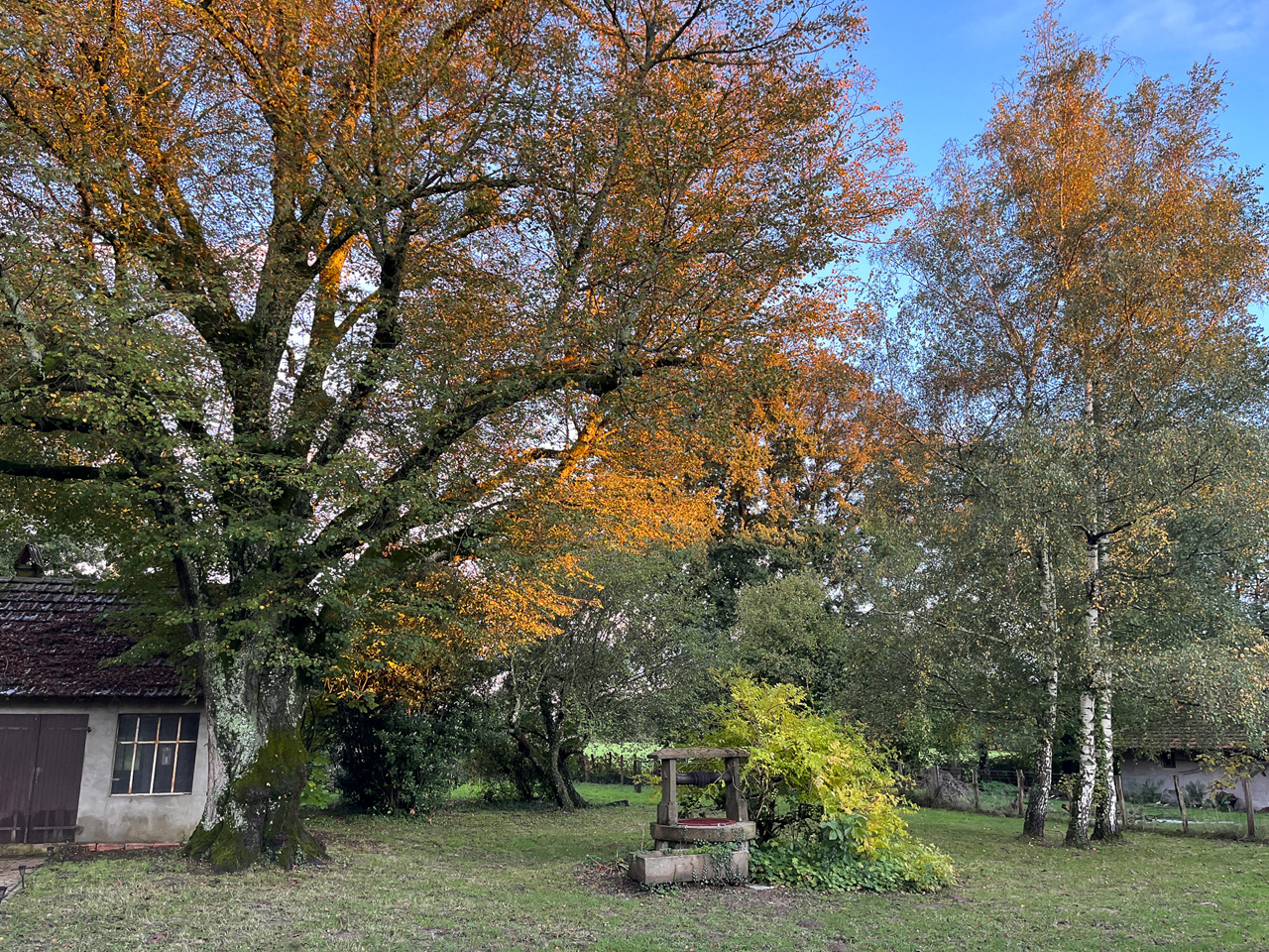 Vue automnale de l’atelier de La Chancelle