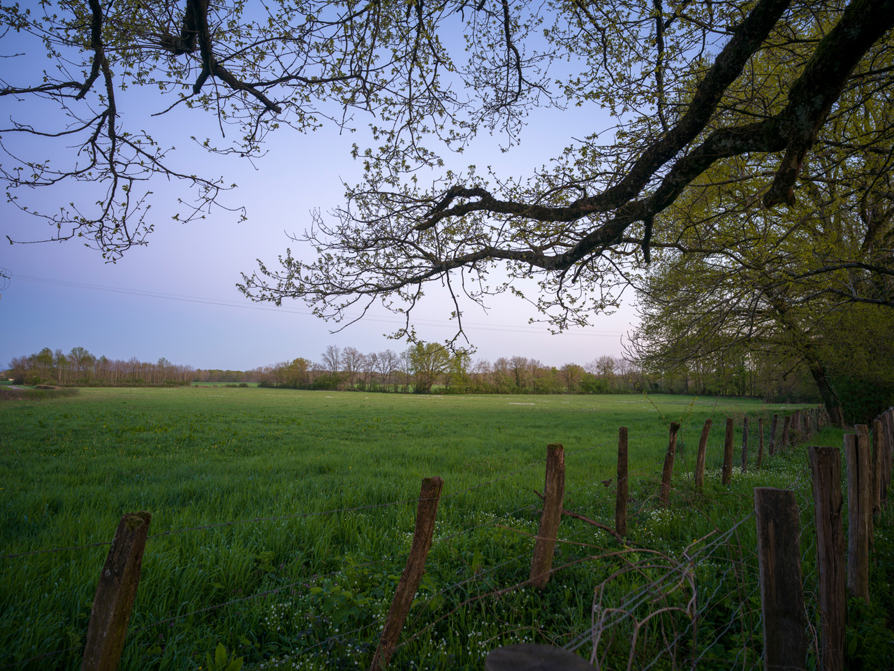 Jardin verdoyant autour de La Chancelle
