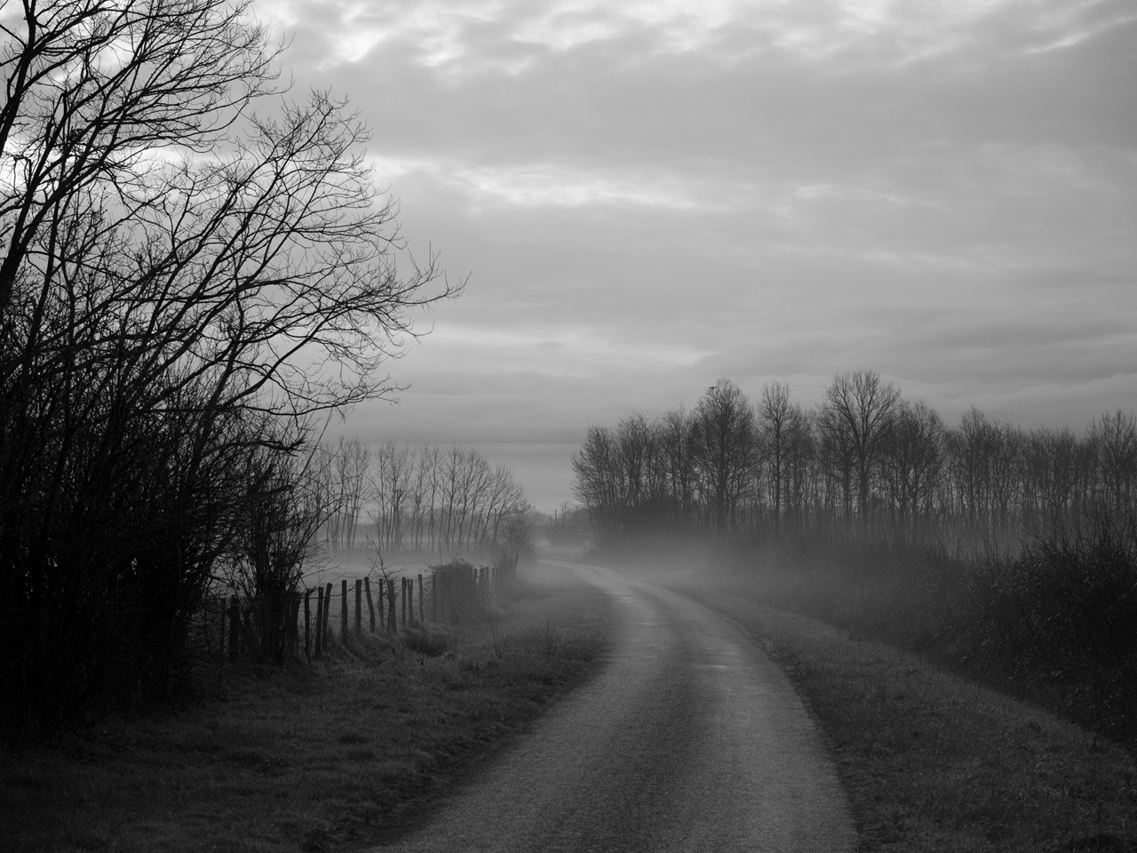 Chemin menant à La Chancelle, bordé de nature