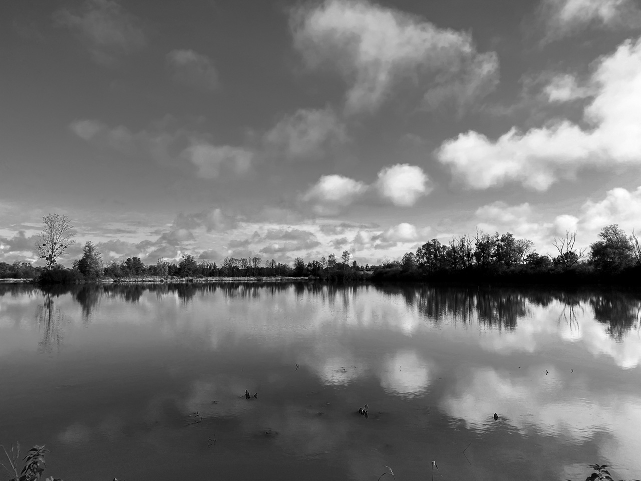 Paysage typique de la Saône-et-Loire